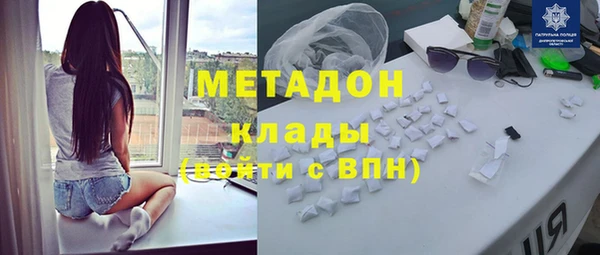 прущие грибы Заволжье