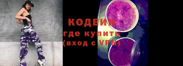 прущие грибы Заволжье