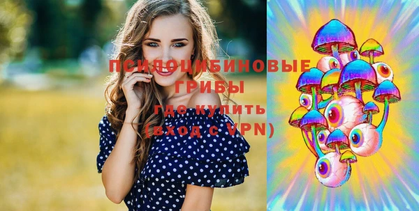 ALPHA-PVP Заводоуковск