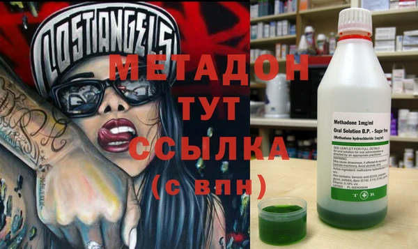 прущие грибы Заволжье