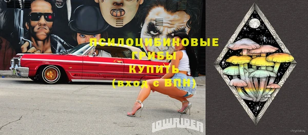 прущие грибы Заволжье