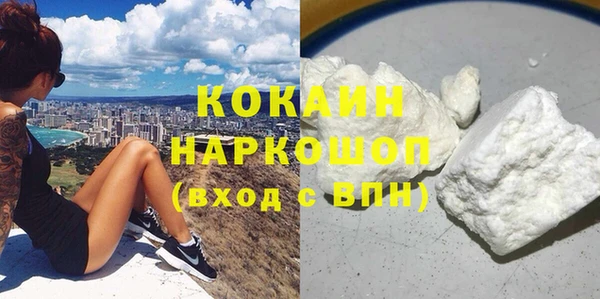 прущие грибы Заволжье