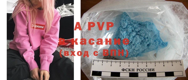 прущие грибы Заволжье