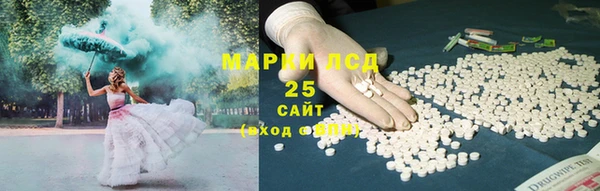 прущие грибы Заволжье