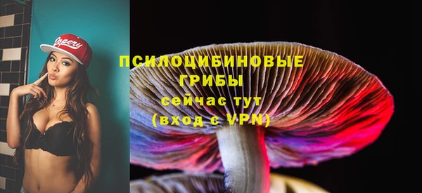ALPHA-PVP Заводоуковск